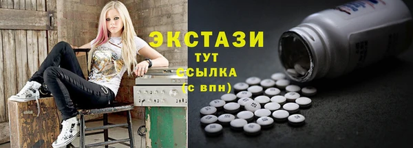гидра Богородск