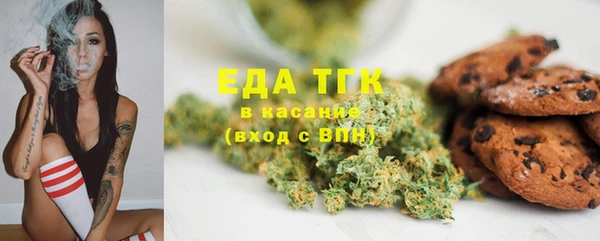 гидра Богородск