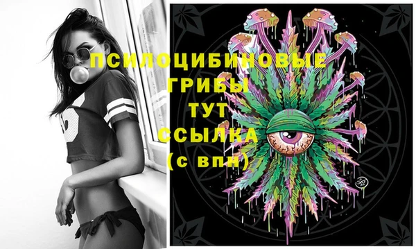 крисы Богданович