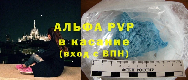 гидра Богородск