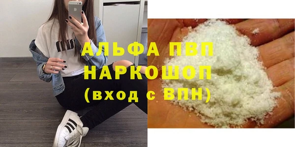 гидра Богородск