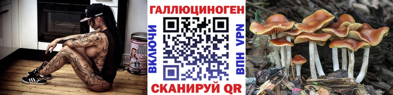 Псилоцибиновые грибы мухоморы Котовск
